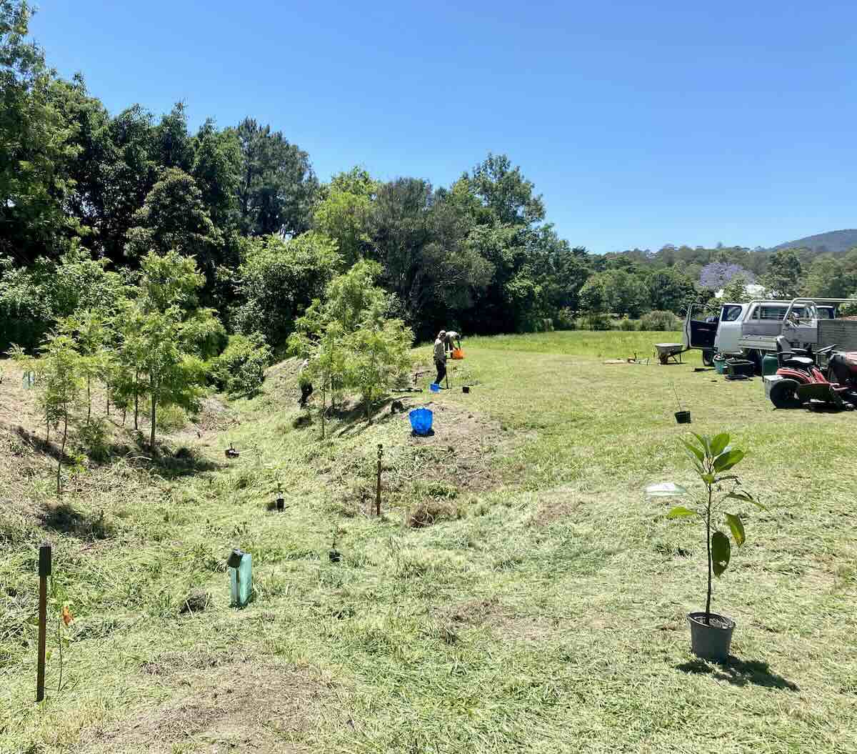 People at work on a bushland regeneration project on a Southeast Queensland property