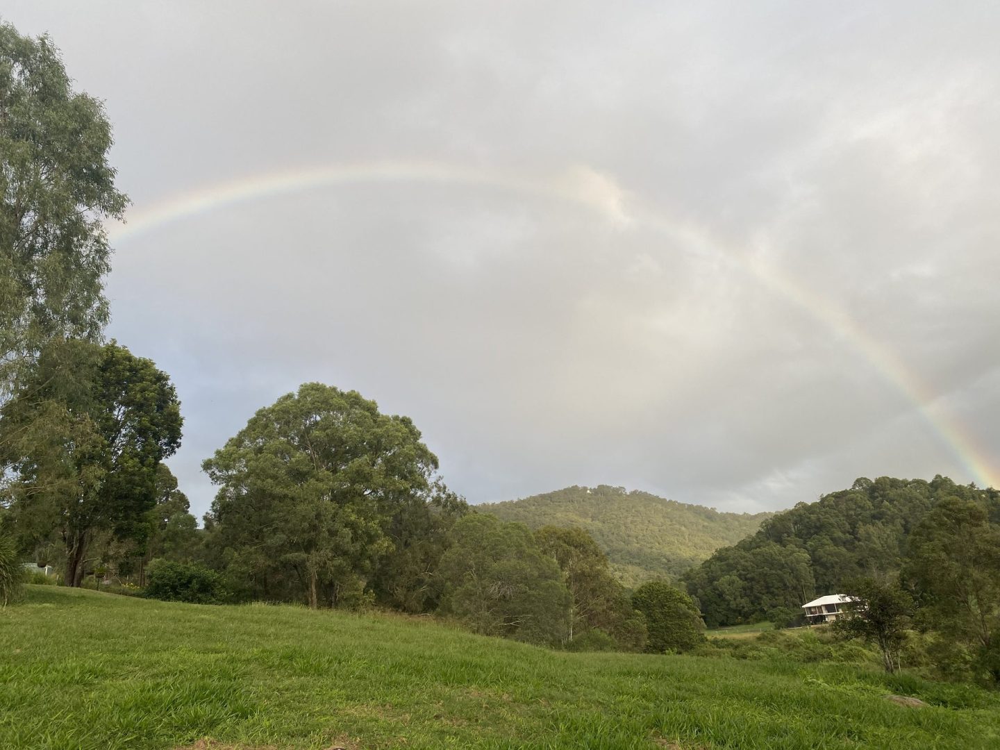 Full rainbow arching over native bushland and green pastures at the People Planet Purpose rewilding property in Samford Valley, Southeast Queensland